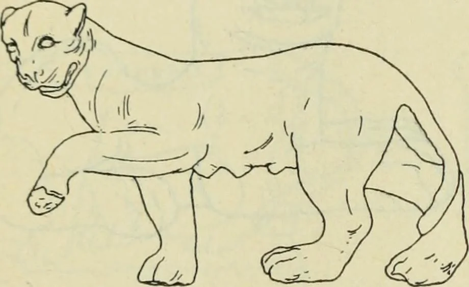 An illustration from Répertoire de la statuaire grecque et romaine, 1908, leaf 495