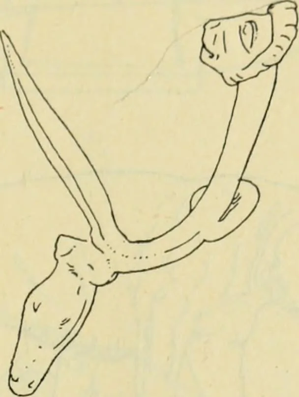 An illustration from Répertoire de la statuaire grecque et romaine, 1908, leaf 502