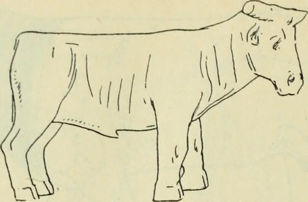 An illustration from Répertoire de la statuaire grecque et romaine, 1908, leaf 507