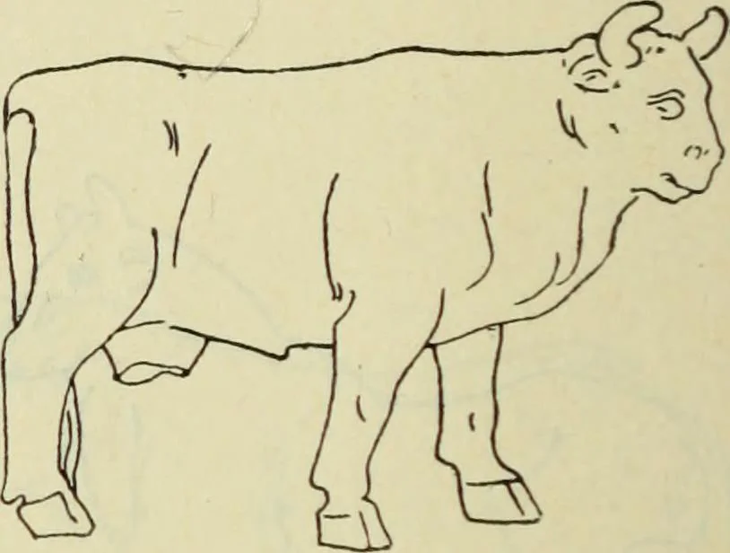 An illustration from Répertoire de la statuaire grecque et romaine, 1908, leaf 507