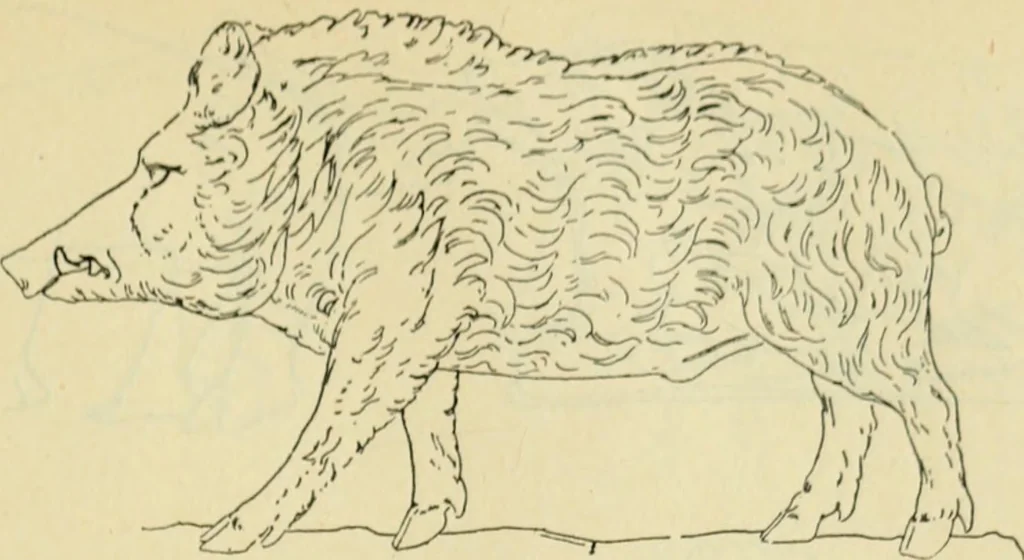 An illustration from Répertoire de la statuaire grecque et romaine, 1908, leaf 526