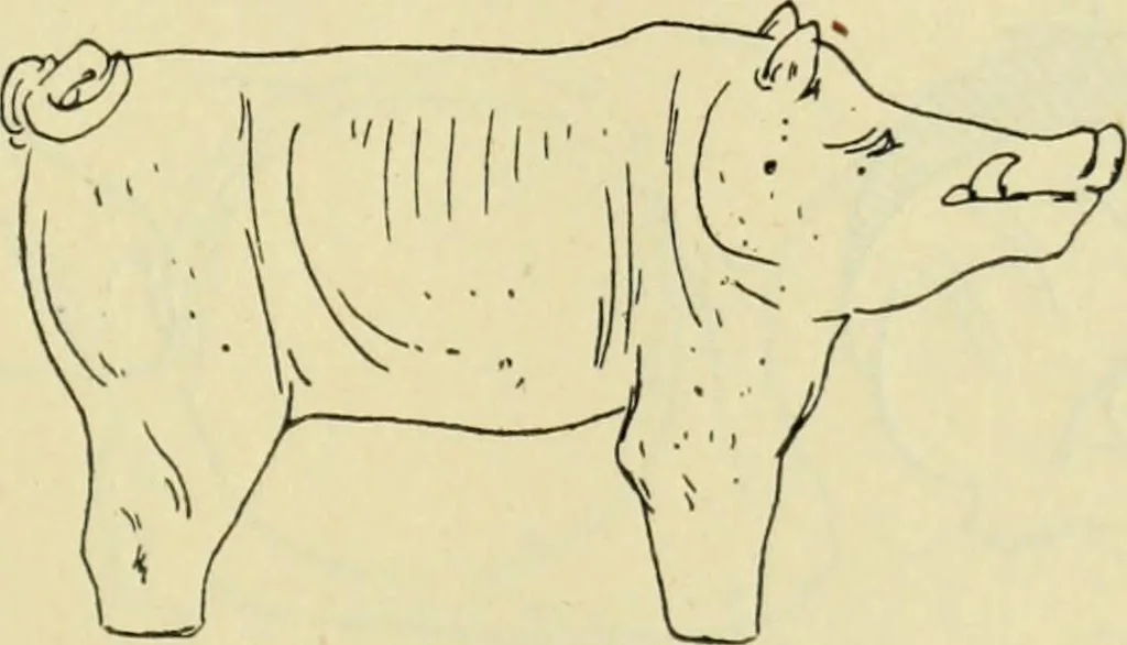 An illustration from Répertoire de la statuaire grecque et romaine, 1908, leaf 526