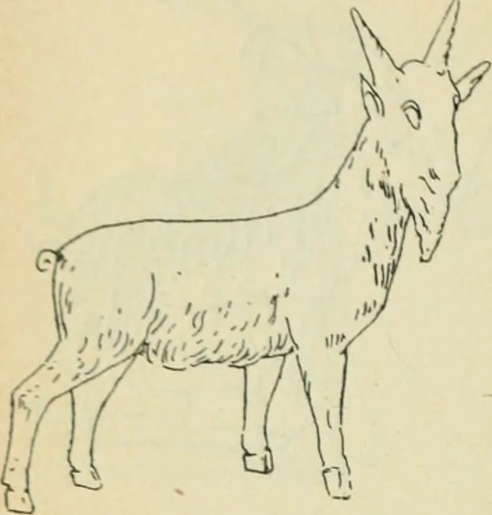 An illustration from Répertoire de la statuaire grecque et romaine, 1908, leaf 533
