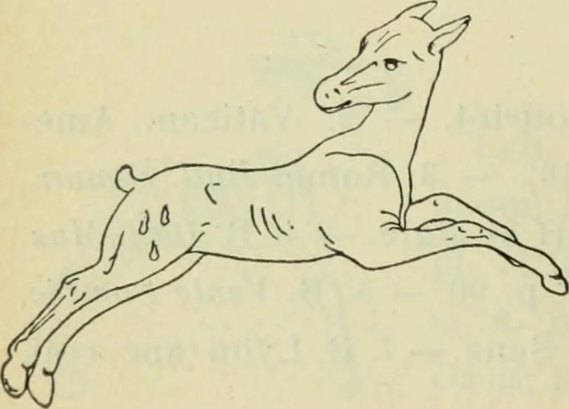 An illustration from Répertoire de la statuaire grecque et romaine, 1908, leaf 539