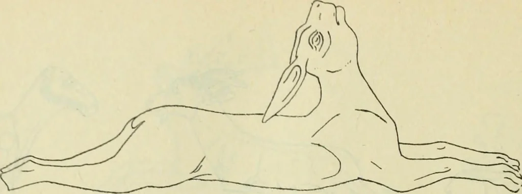 An illustration from Répertoire de la statuaire grecque et romaine, 1908, leaf 541