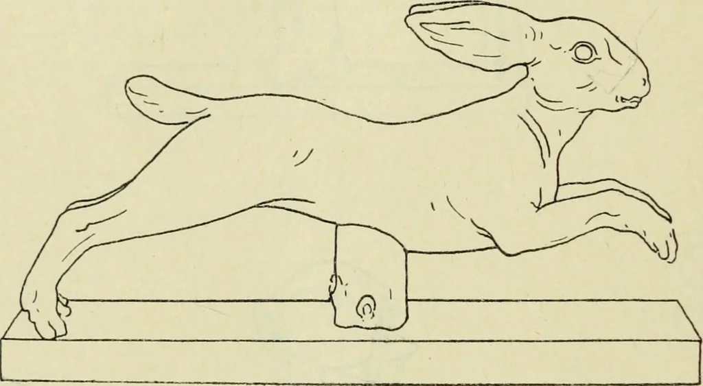 An illustration from Répertoire de la statuaire grecque et romaine, 1908, leaf 541