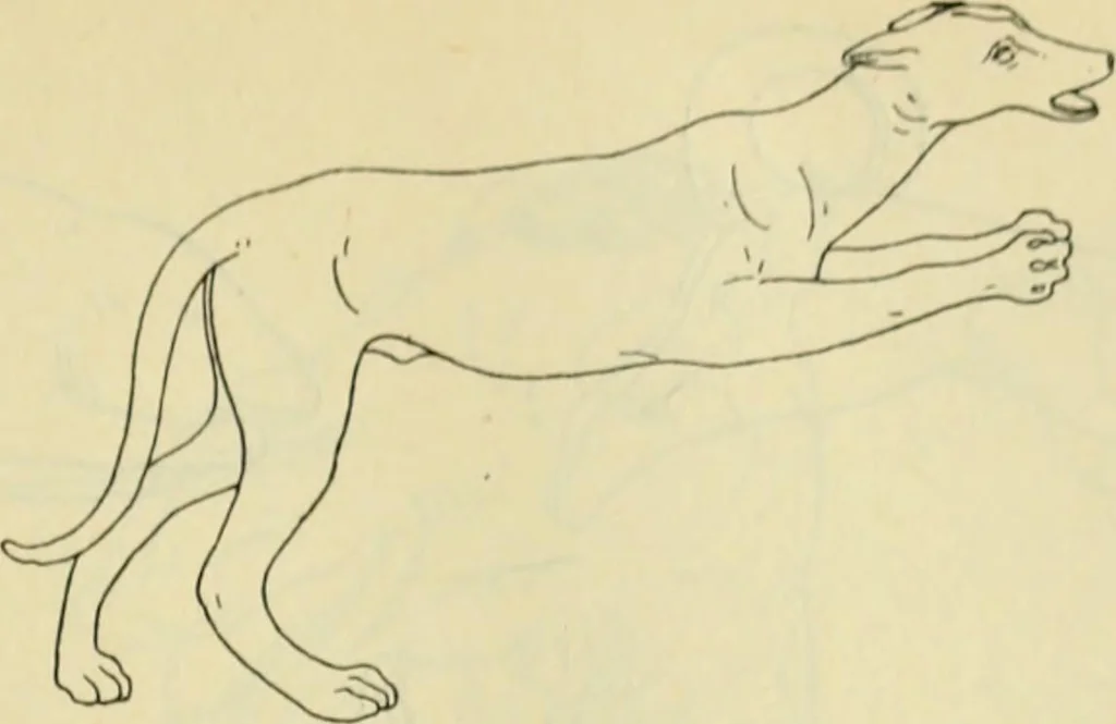 An illustration from Répertoire de la statuaire grecque et romaine, 1908, leaf 548