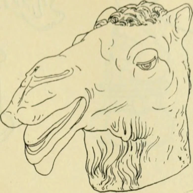 An illustration from Répertoire de la statuaire grecque et romaine, 1908, leaf 550