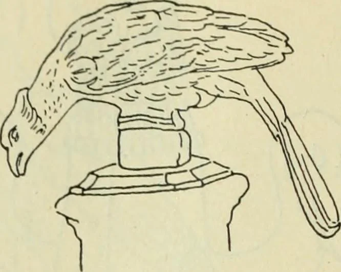 An illustration from Répertoire de la statuaire grecque et romaine, 1908, leaf 557