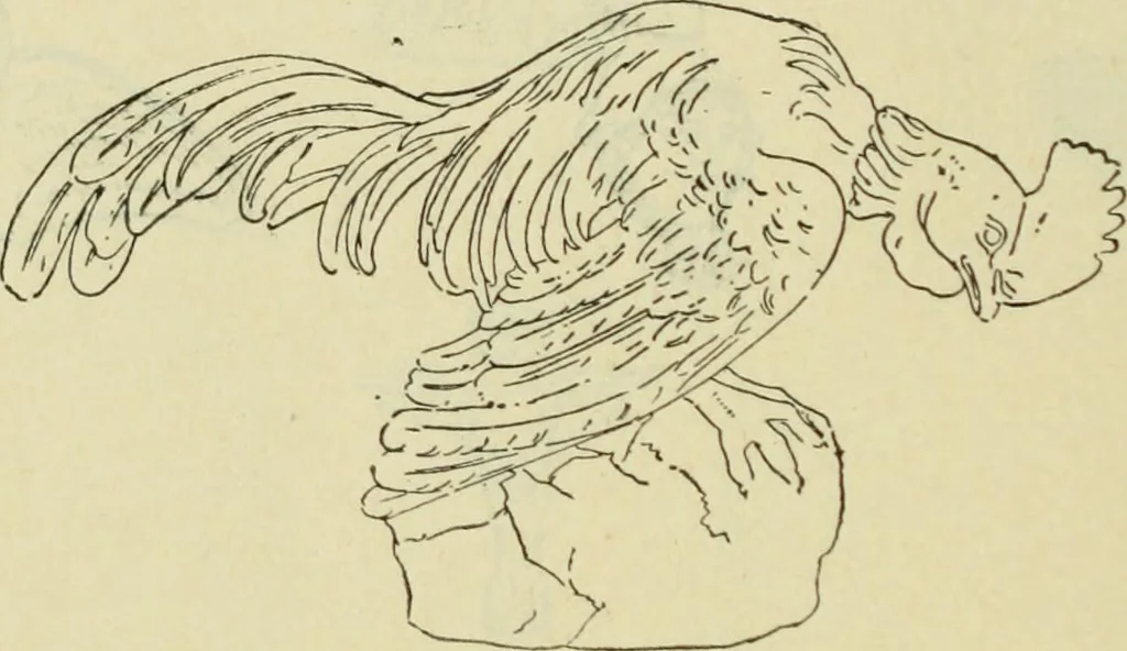 An illustration from Répertoire de la statuaire grecque et romaine, 1908, leaf 559