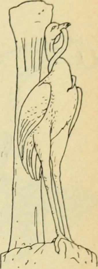 An illustration from Répertoire de la statuaire grecque et romaine, 1908, leaf 562