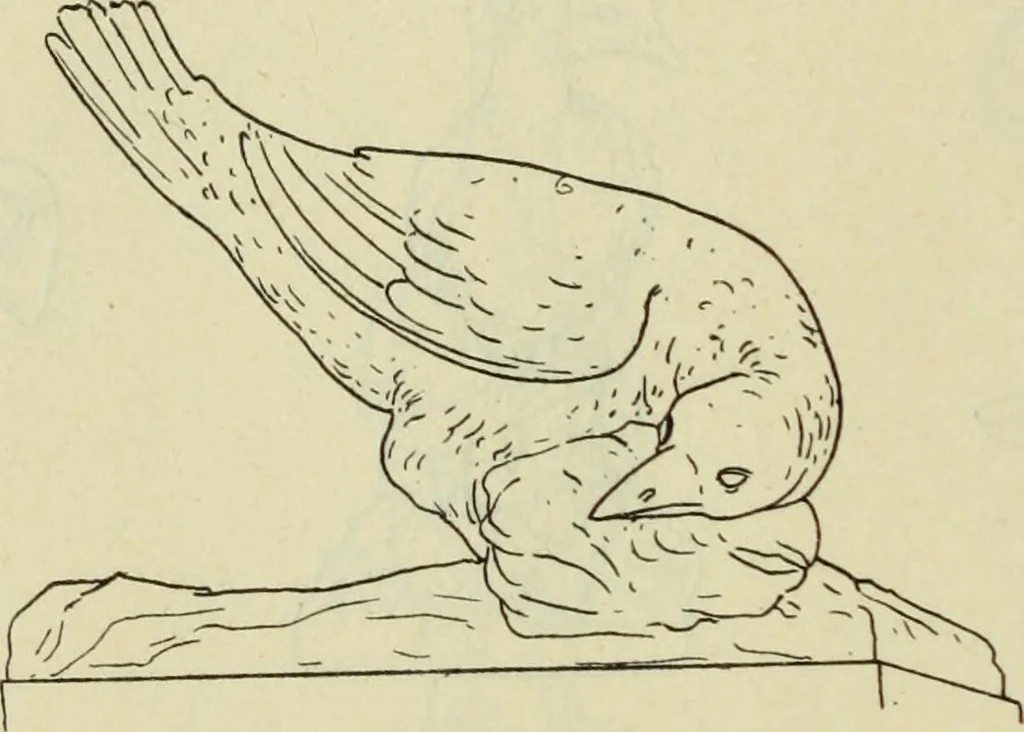 An illustration from Répertoire de la statuaire grecque et romaine, 1908, leaf 565