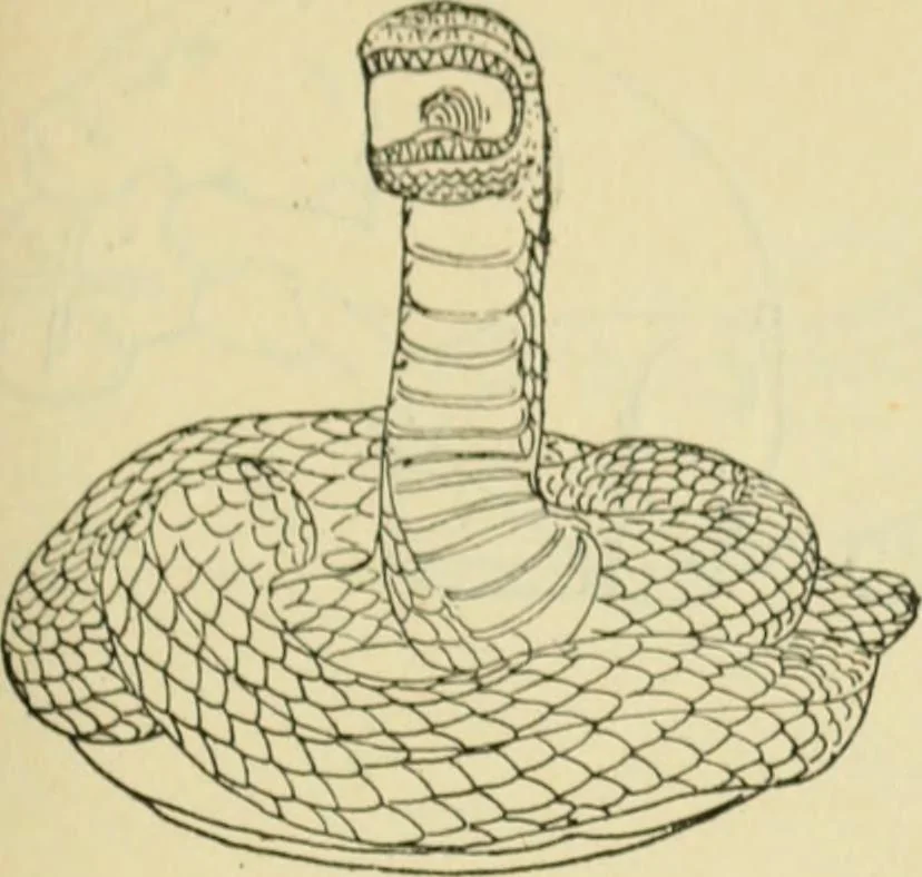 An illustration from Répertoire de la statuaire grecque et romaine, 1908, leaf 568