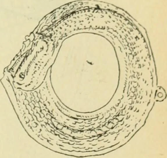 An illustration from Répertoire de la statuaire grecque et romaine, 1908, leaf 568