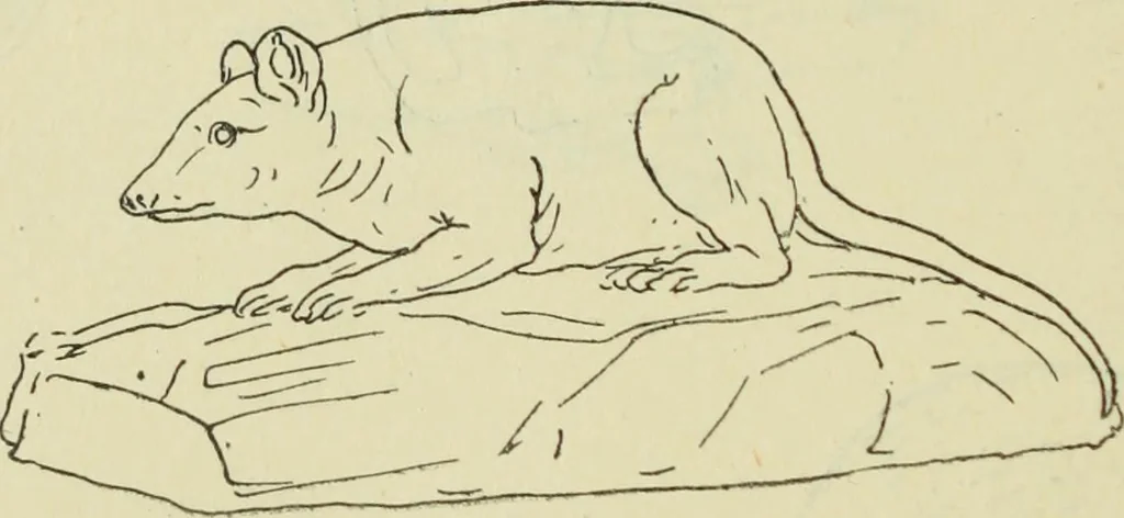 An illustration from Répertoire de la statuaire grecque et romaine, 1908, leaf 569