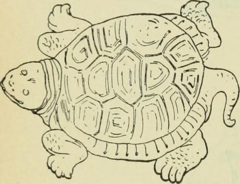 An illustration from Répertoire de la statuaire grecque et romaine, 1908, leaf 571