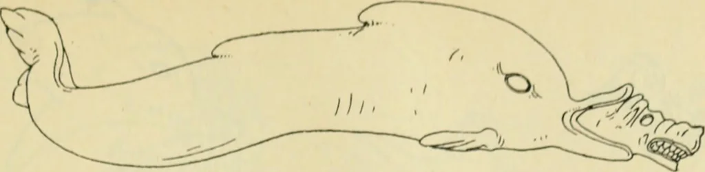 An illustration from Répertoire de la statuaire grecque et romaine, 1908, leaf 572