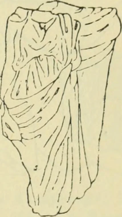 An illustration from Répertoire de la statuaire grecque et romaine, 1908, leaf 576
