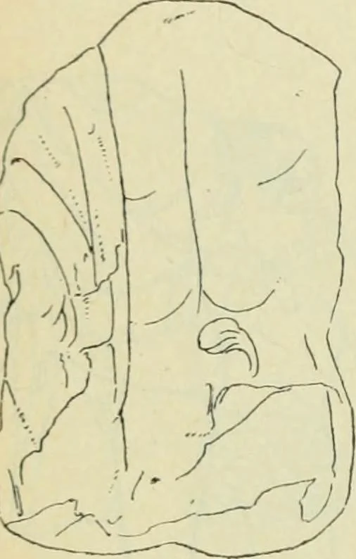 An illustration from Répertoire de la statuaire grecque et romaine, 1908, leaf 99