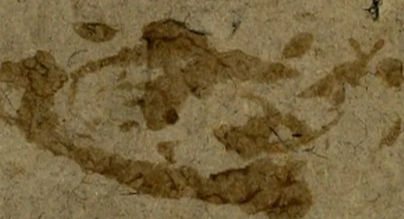 An illustration from R.P. Ioannis Bvsæi Societatis Iesv theologi De statibus hominvm liber posthumus .., 1613, leaf 1