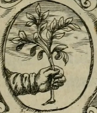 An illustration from R.P. Ioannis Bvsæi Societatis Iesv theologi De statibus hominvm liber posthumus .., 1613, leaf 10