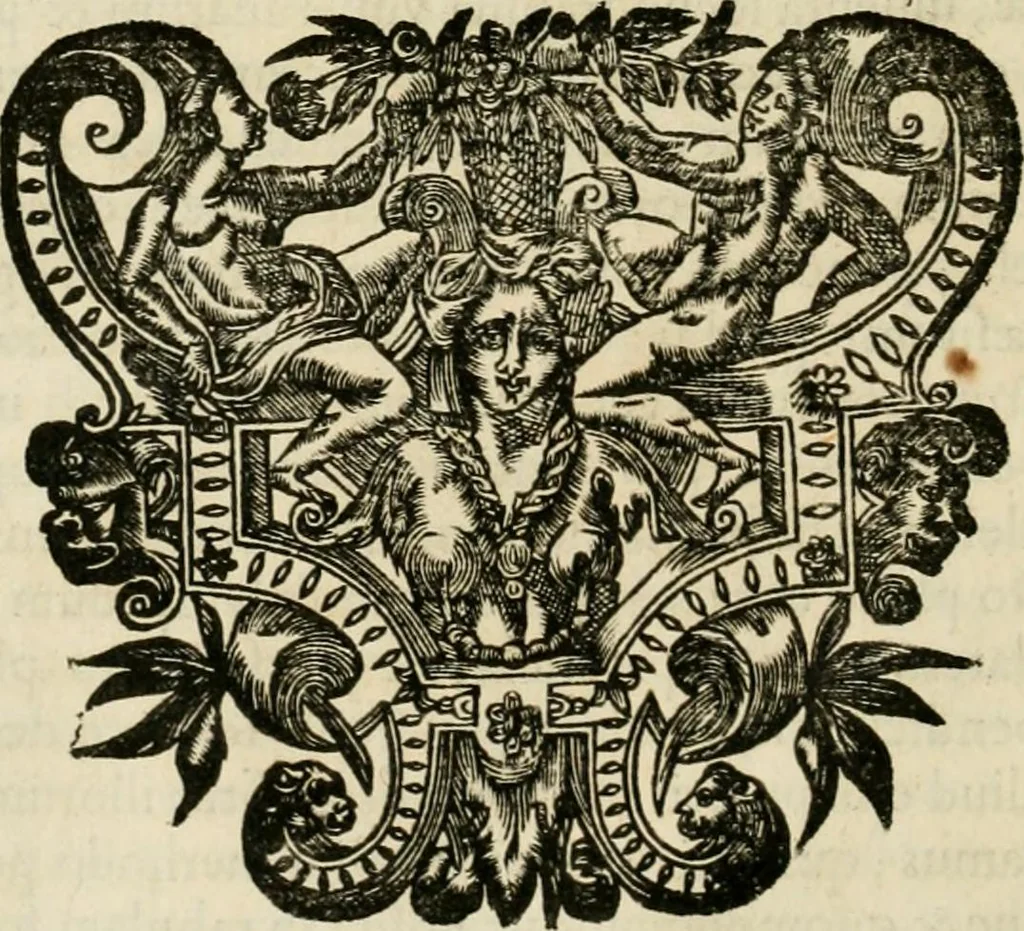 An illustration from R.P. Ioannis Francisci Niceronis Parisini, ex Ord. Minim. Thaumaturgus opticus, seu, Admiranda optices, per radium directum : catoptrices, per reflexum è politis corporibus ... : dioptrices, per refractum in diaphanis ... pars prima .., 1646, leaf 161