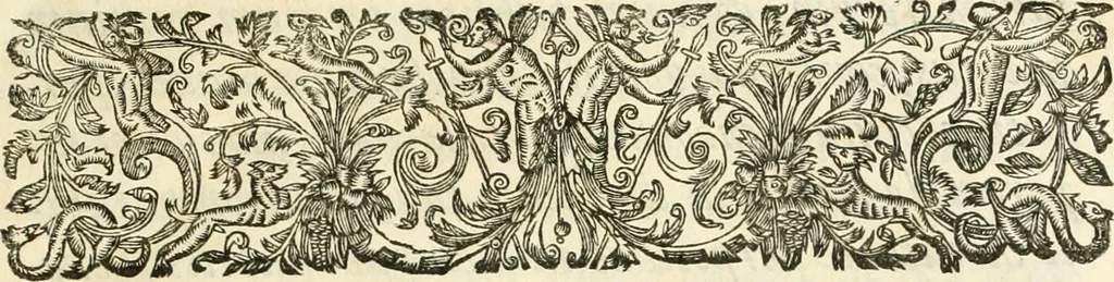 An illustration from R.P. Ioannis Francisci Niceronis Parisini, ex Ord. Minim. Thaumaturgus opticus, seu, Admiranda optices, per radium directum : catoptrices, per reflexum è politis corporibus ... : dioptrices, per refractum in diaphanis ... pars prima .., 1646, leaf 18