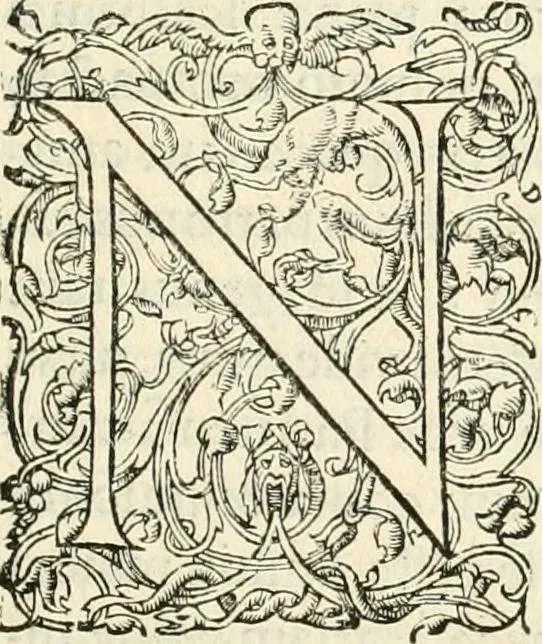An illustration from R.P. Ioannis Francisci Niceronis Parisini, ex Ord. Minim. Thaumaturgus opticus, seu, Admiranda optices, per radium directum : catoptrices, per reflexum è politis corporibus ... : dioptrices, per refractum in diaphanis ... pars prima .., 1646, leaf 232