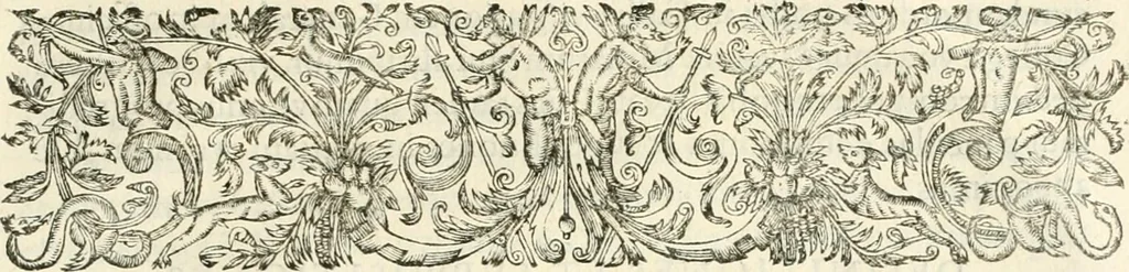 An illustration from R.P. Ioannis Francisci Niceronis Parisini, ex Ord. Minim. Thaumaturgus opticus, seu, Admiranda optices, per radium directum : catoptrices, per reflexum è politis corporibus ... : dioptrices, per refractum in diaphanis ... pars prima .., 1646, leaf 246