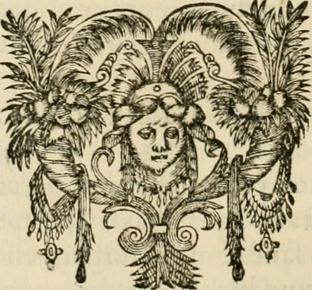 An illustration from R.P. Ioannis Francisci Niceronis Parisini, ex Ord. Minim. Thaumaturgus opticus, seu, Admiranda optices, per radium directum : catoptrices, per reflexum è politis corporibus ... : dioptrices, per refractum in diaphanis ... pars prima .., 1646, leaf 259
