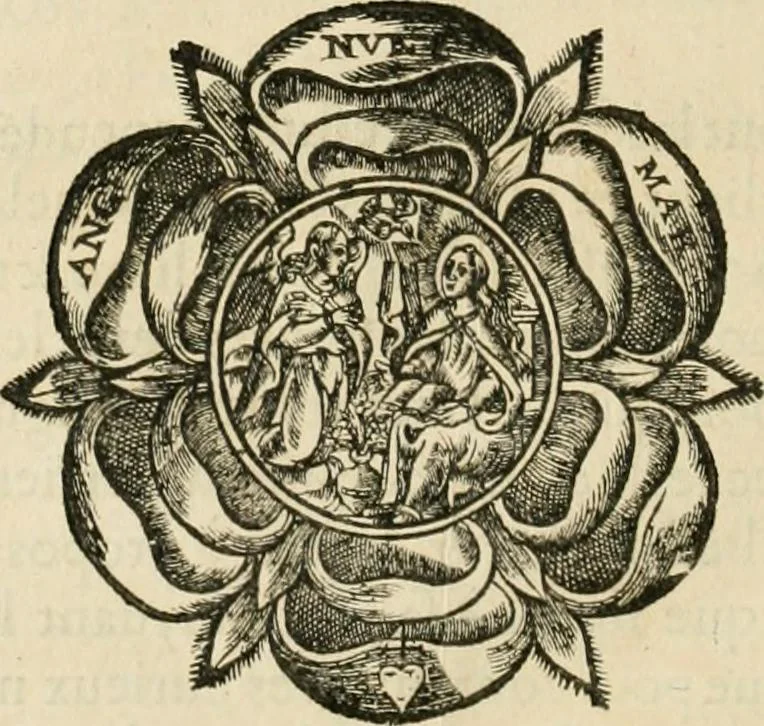 An illustration from R.P. Ioannis Francisci Niceronis Parisini, ex Ord. Minim. Thaumaturgus opticus, seu, Admiranda optices, per radium directum : catoptrices, per reflexum è politis corporibus ... : dioptrices, per refractum in diaphanis ... pars prima .., 1646, leaf 263