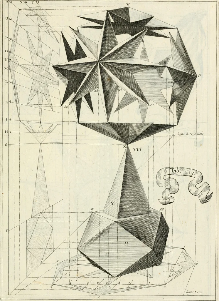 An illustration from R.P. Ioannis Francisci Niceronis Parisini, ex Ord. Minim. Thaumaturgus opticus, seu, Admiranda optices, per radium directum : catoptrices, per reflexum è politis corporibus ... : dioptrices, per refractum in diaphanis ... pars prima .., 1646, leaf 294
