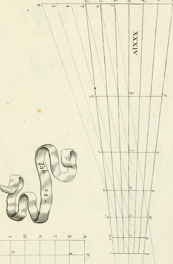 An illustration from R.P. Ioannis Francisci Niceronis Parisini, ex Ord. Minim. Thaumaturgus opticus, seu, Admiranda optices, per radium directum : catoptrices, per reflexum è politis corporibus ... : dioptrices, per refractum in diaphanis ... pars prima .., 1646, leaf 312
