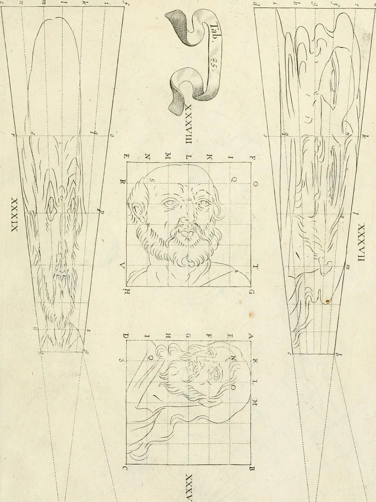 An illustration from R.P. Ioannis Francisci Niceronis Parisini, ex Ord. Minim. Thaumaturgus opticus, seu, Admiranda optices, per radium directum : catoptrices, per reflexum è politis corporibus ... : dioptrices, per refractum in diaphanis ... pars prima .., 1646, leaf 314