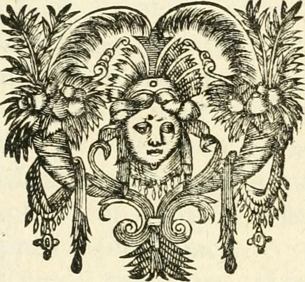 An illustration from R.P. Ioannis Francisci Niceronis Parisini, ex Ord. Minim. Thaumaturgus opticus, seu, Admiranda optices, per radium directum : catoptrices, per reflexum è politis corporibus ... : dioptrices, per refractum in diaphanis ... pars prima .., 1646, leaf 34