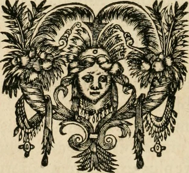 An illustration from R.P. Ioannis Francisci Niceronis Parisini, ex Ord. Minim. Thaumaturgus opticus, seu, Admiranda optices, per radium directum : catoptrices, per reflexum è politis corporibus ... : dioptrices, per refractum in diaphanis ... pars prima .., 1646, leaf 41