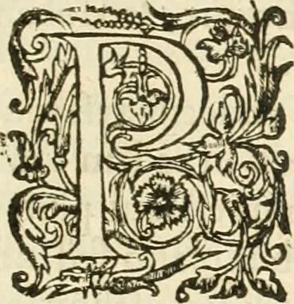 An illustration from R.P. Ioannis Francisci Niceronis Parisini, ex Ord. Minim. Thaumaturgus opticus, seu, Admiranda optices, per radium directum : catoptrices, per reflexum è politis corporibus ... : dioptrices, per refractum in diaphanis ... pars prima .., 1646, leaf 42