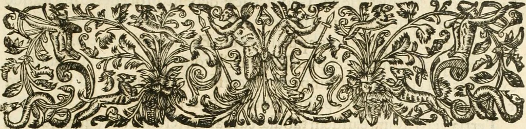 An illustration from R.P. Ioannis Francisci Niceronis Parisini, ex Ord. Minim. Thaumaturgus opticus, seu, Admiranda optices, per radium directum : catoptrices, per reflexum è politis corporibus ... : dioptrices, per refractum in diaphanis ... pars prima .., 1646, leaf 42