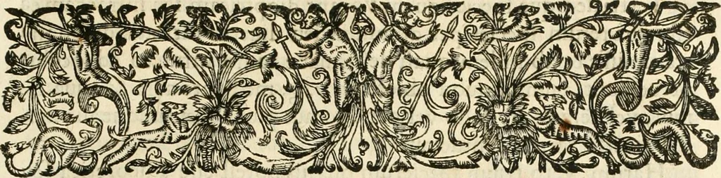 An illustration from R.P. Ioannis Francisci Niceronis Parisini, ex Ord. Minim. Thaumaturgus opticus, seu, Admiranda optices, per radium directum : catoptrices, per reflexum è politis corporibus ... : dioptrices, per refractum in diaphanis ... pars prima .., 1646, leaf 56