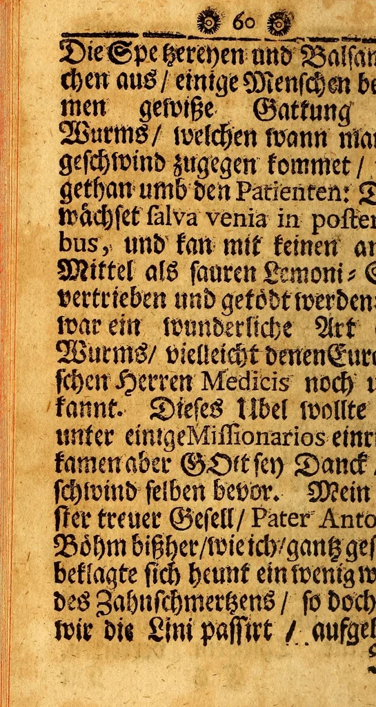 An illustration from RR. PP. Antonii Sepp, und Antonii Böhm, der Societät Jesu Priestern teutscher Nation, deren der erste aus Tyrol an der Etsch, der ander aus Bayrn gebürtig, Reissbeschreibung wie dieselbe aus Hispanien in Paraquariam kommen. : Und kurtzer Bericht der denckwürdigsten Sachen selbiger Landschafft, Völckern, und Arbeitung der sich alldort befindenten PP Missionariorum., 1696, leaf 66