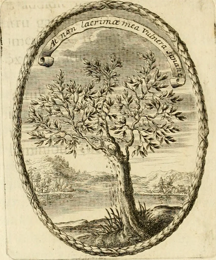 An illustration from Caroli Ruaei e Societate Jesu Carminum libri quatuor, 1680, leaf 221