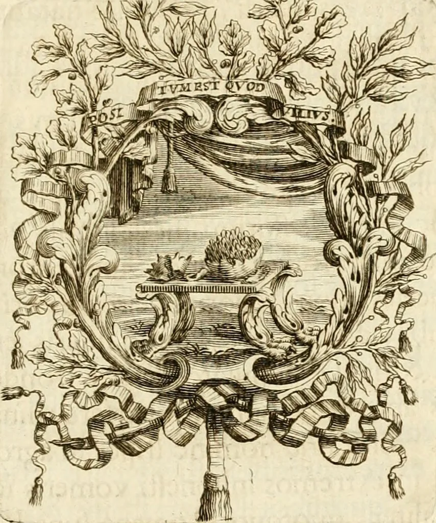 An illustration from Caroli Ruaei e Societate Jesu Carminum libri quatuor, 1680, leaf 224