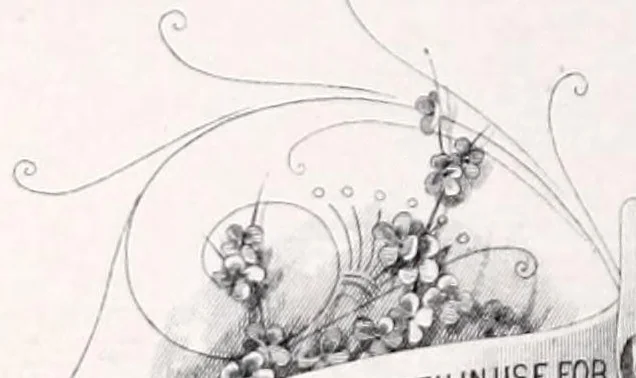 An illustration from Rubber Paint Co., manufacturers of the best paint in the world : [catalogue]., 1888, leaf 20
