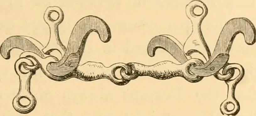 An illustration from Rude stone monuments in all countries; their age and uses, 1872, leaf 106