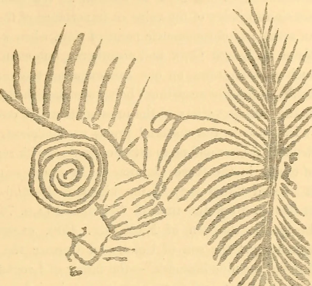 An illustration from Rude stone monuments in all countries; their age and uses, 1872, leaf 236