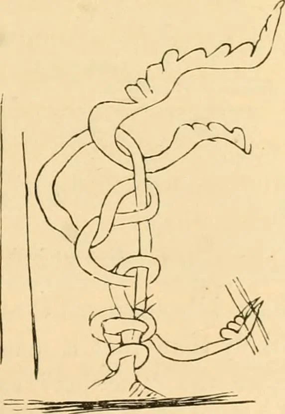 An illustration from Rude stone monuments in all countries; their age and uses, 1872, leaf 270