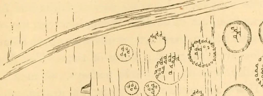 An illustration from Rude stone monuments in all countries; their age and uses, 1872, leaf 306