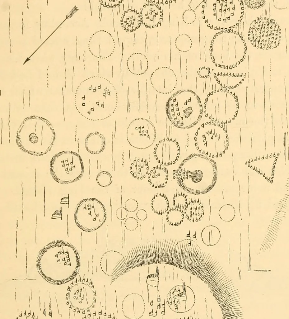 An illustration from Rude stone monuments in all countries; their age and uses, 1872, leaf 306