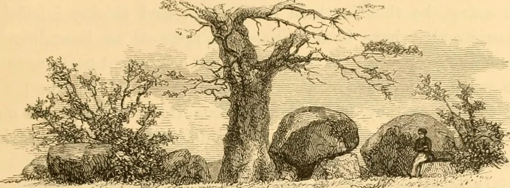 An illustration from Rude stone monuments in all countries; their age and uses, 1872, leaf 346