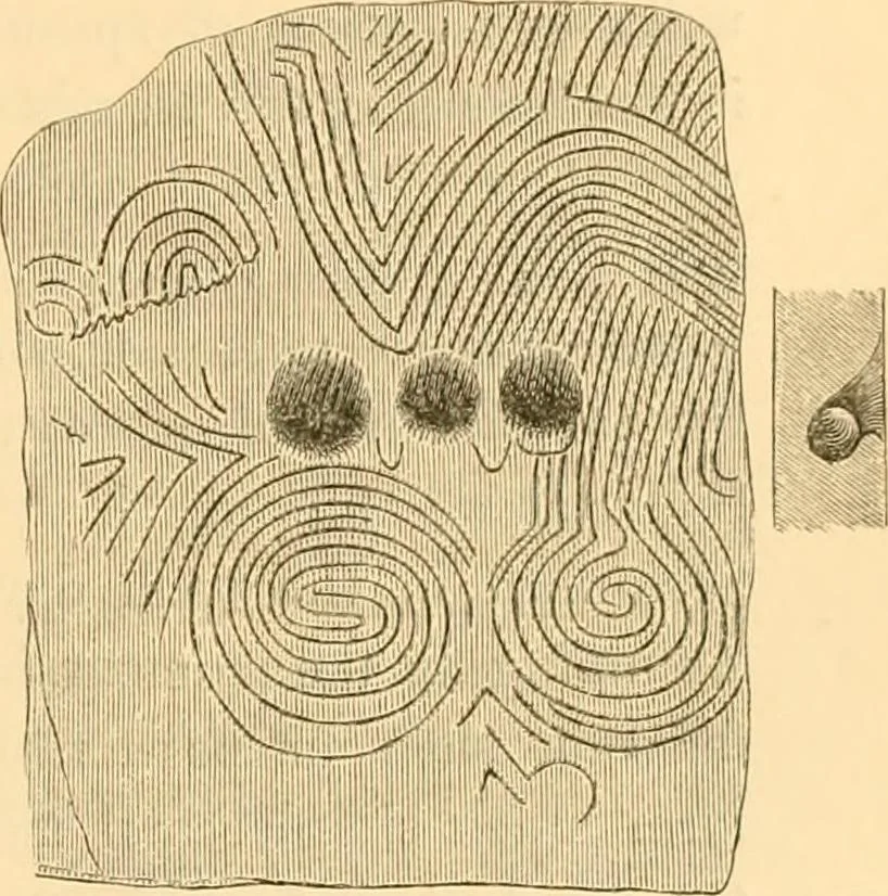 An illustration from Rude stone monuments in all countries; their age and uses, 1872, leaf 390